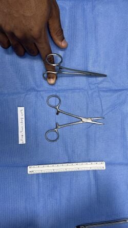 Dunhill artery forceps, first view
