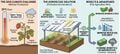 Future climate change impacts on strawberry farming under agrivoltaic protection