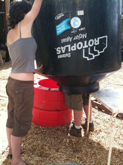 File:Cleaning the tank.jpg