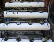 Soil-less Growing System A system that would grow food for the occupants of the barge without the presence of soil