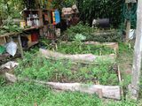 Organic garden beds