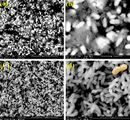 Peanut shaped ZnO for dye sensitized solar cells