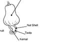 Thumbnail for version as of 19:36, 13 March 2008