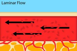 Fig. 2: Normal blood flow through an artery.