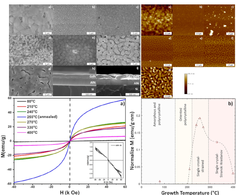 The Effects of Substrate Temperature on the Growth, Microstructural and Magnetic Properties of Gadolinium-Containing Films on Aluminum Nitride