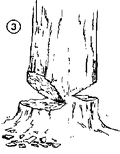 Thumbnail for version as of 01:26, 6 January 2007