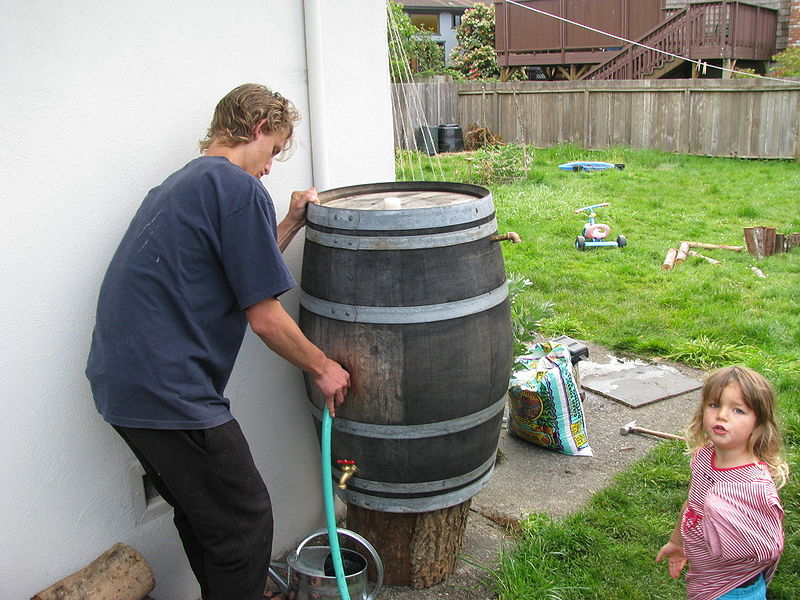 File:Rinsing Barrel.jpg