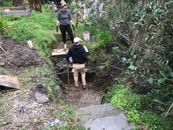 The tedious task of taking out the old constructed greywater marsh.