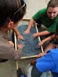 Fig 1e:Sifting sand. Should have sifted twice.