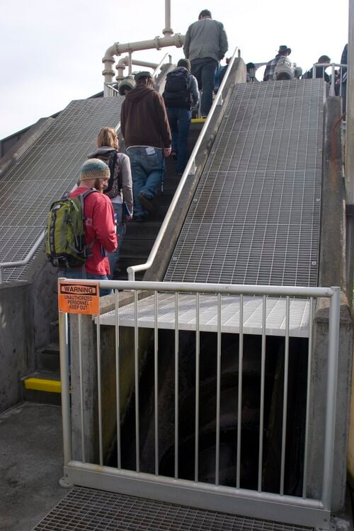 File:Arcata-6955.jpg