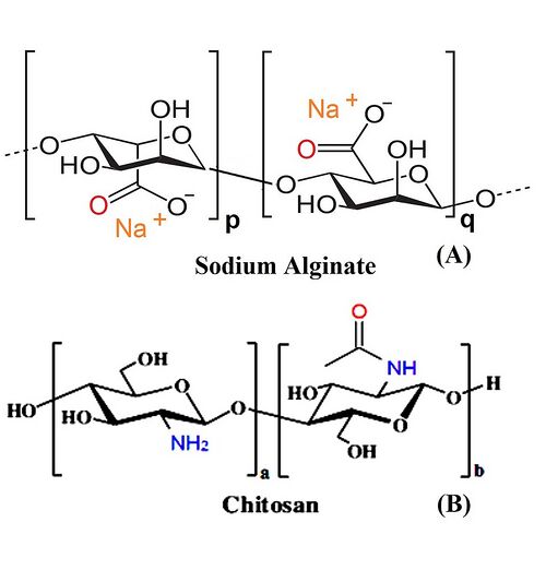 Alginate biopolymer used in medical simulation hydrogels